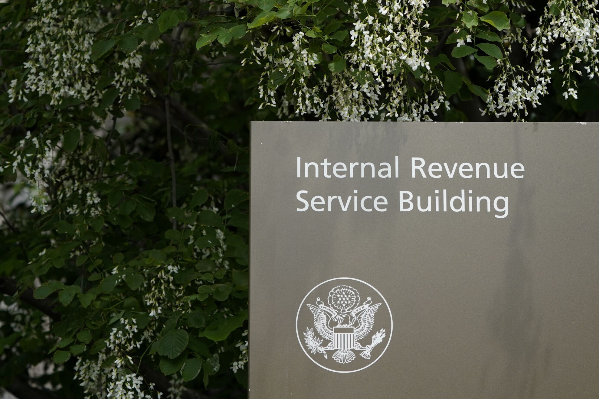 El IRS est� en proceso de reembolso