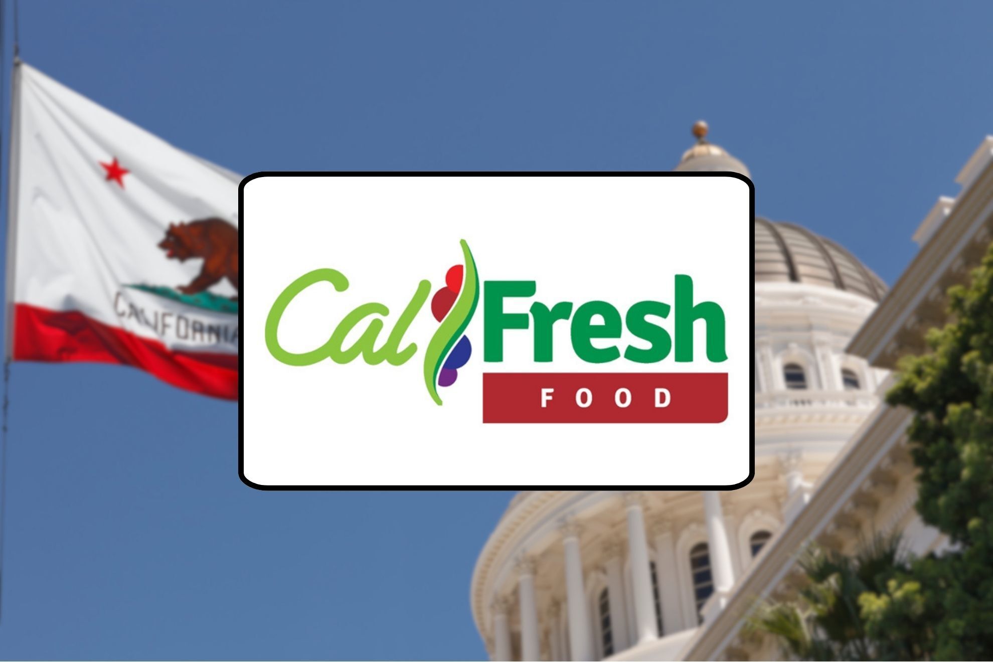 CalFresh Beneficios - Últimas noticias sobre CalFresh