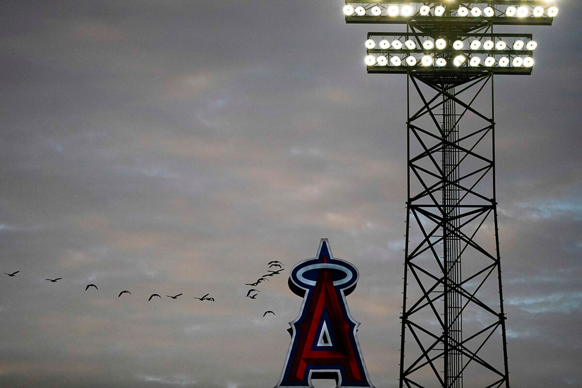 Locutor de la MLB, herido en un atropello y fuga durante los entrenamientos de primavera