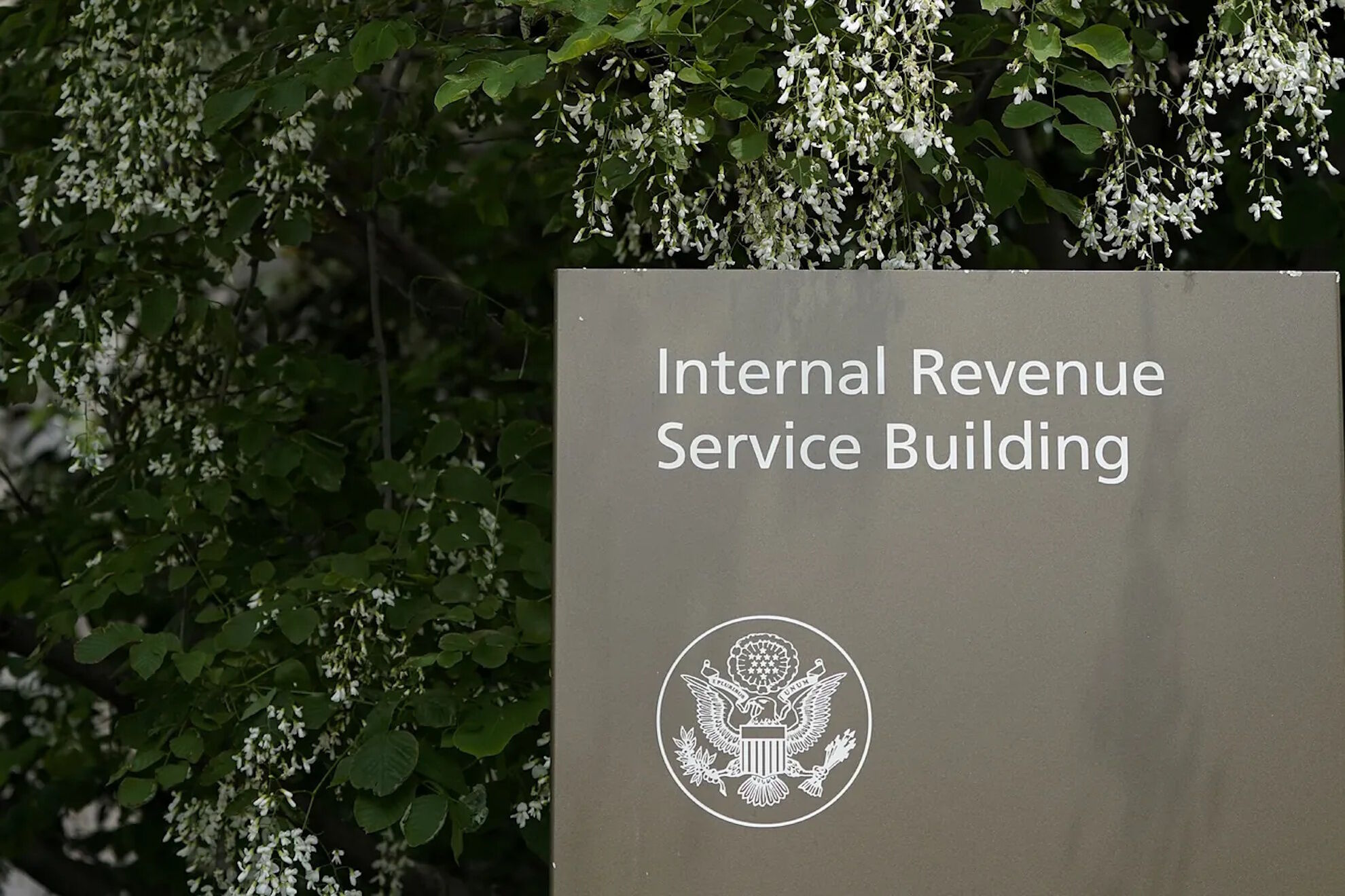 �Cu�ndo paga el IRS los reembolsos en mayo de 2026? Todo el calendario explicado