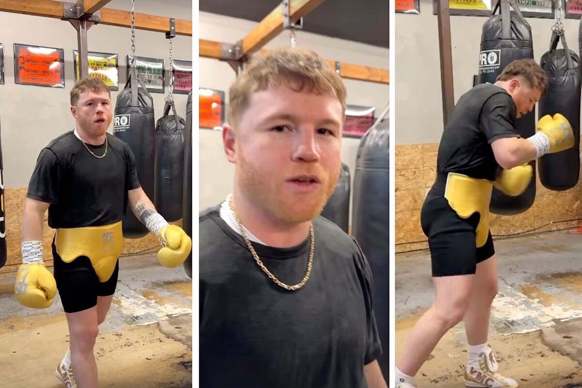 Canelo vuelve al trabajo tras su sorprendente ingreso en la universidad